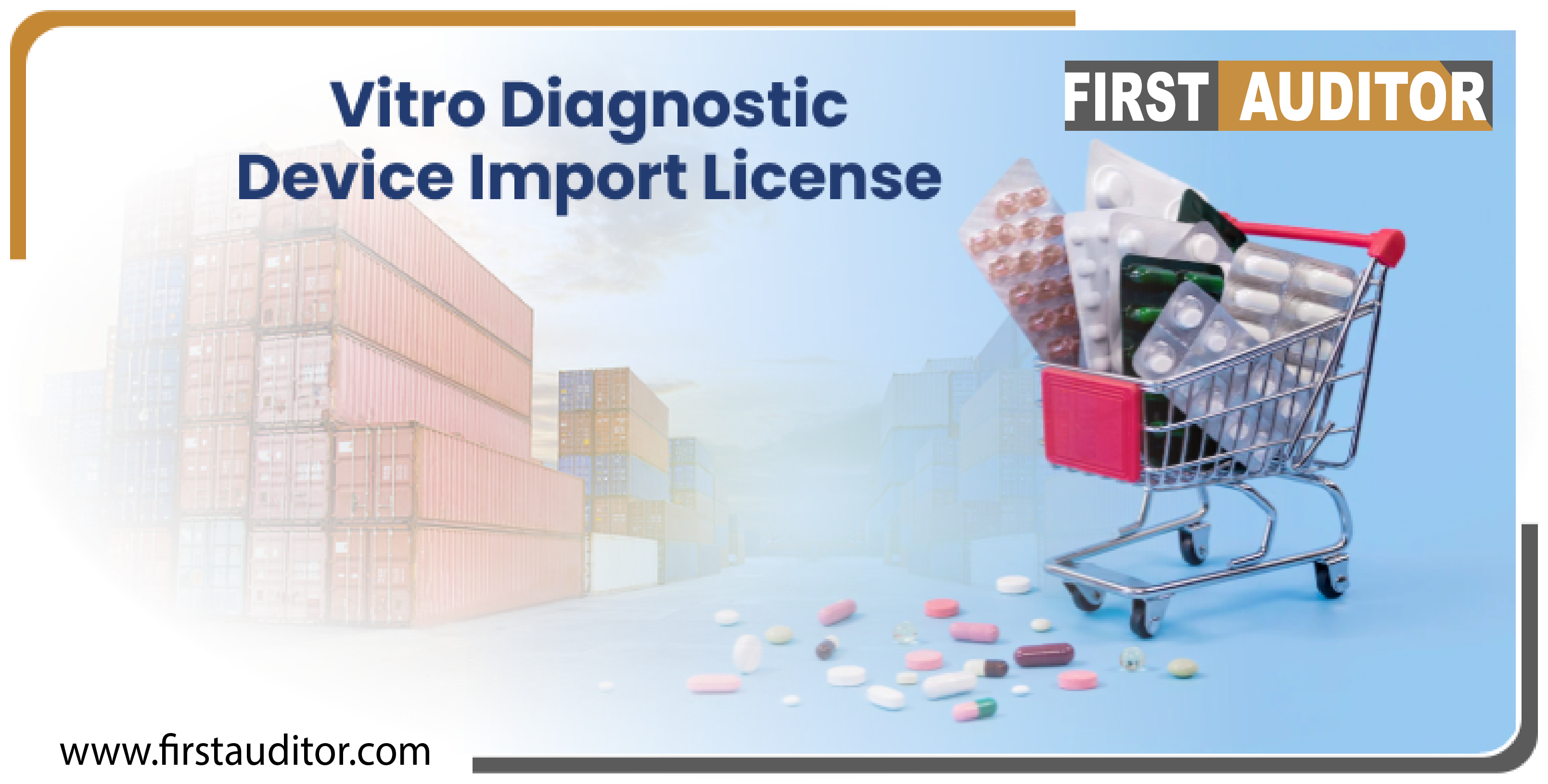 invitro diagnostic device import license service in chennai