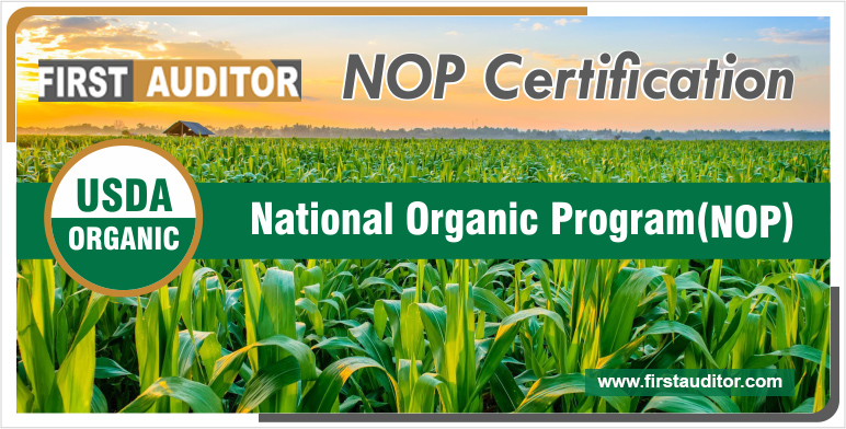 nop certification services in chennai