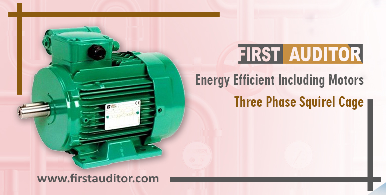 Energy Efficient Induction Motors-Three Phase Squirrel Cage